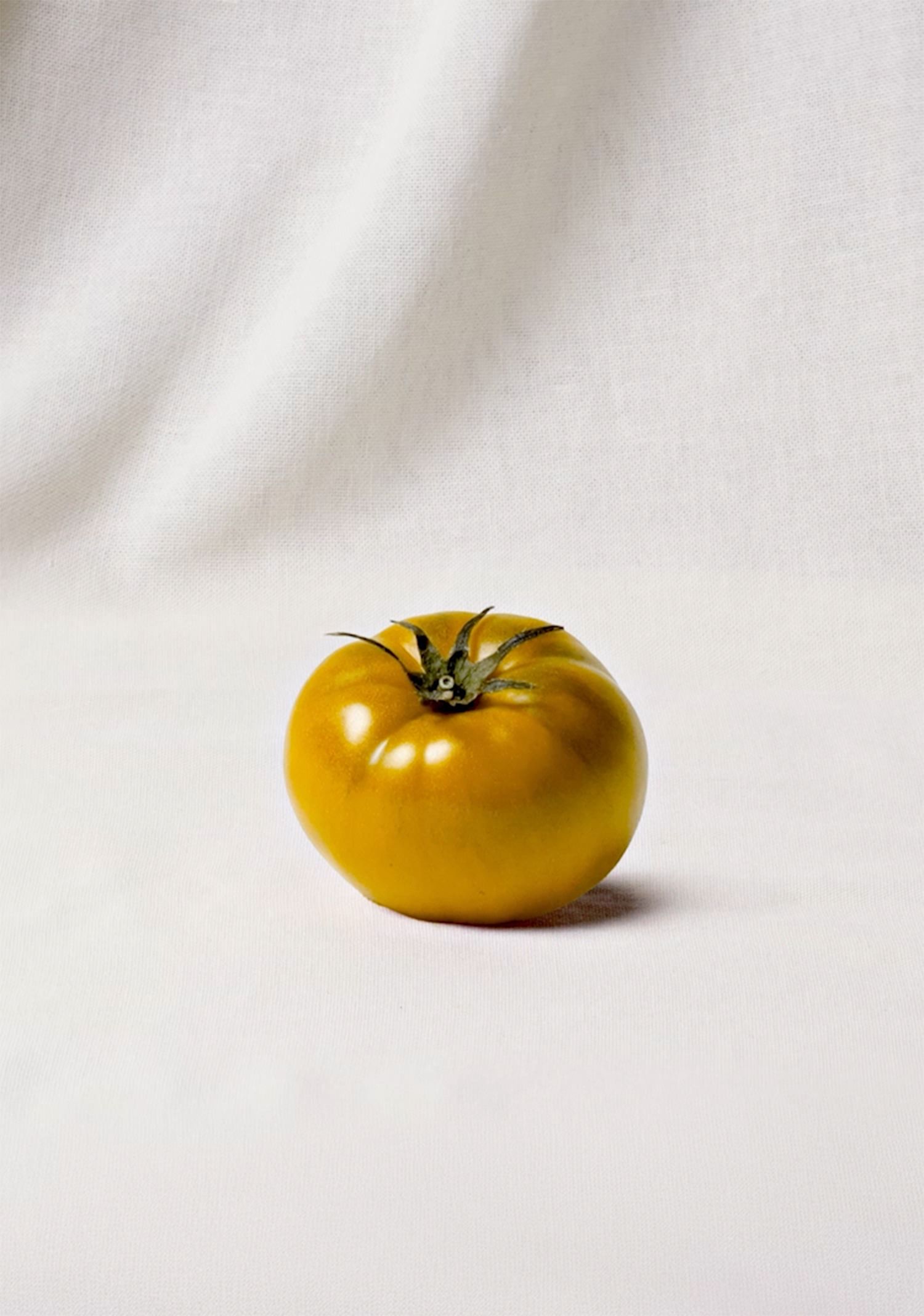 2026 Veggie Collection | Gentle Monster INT Official Site