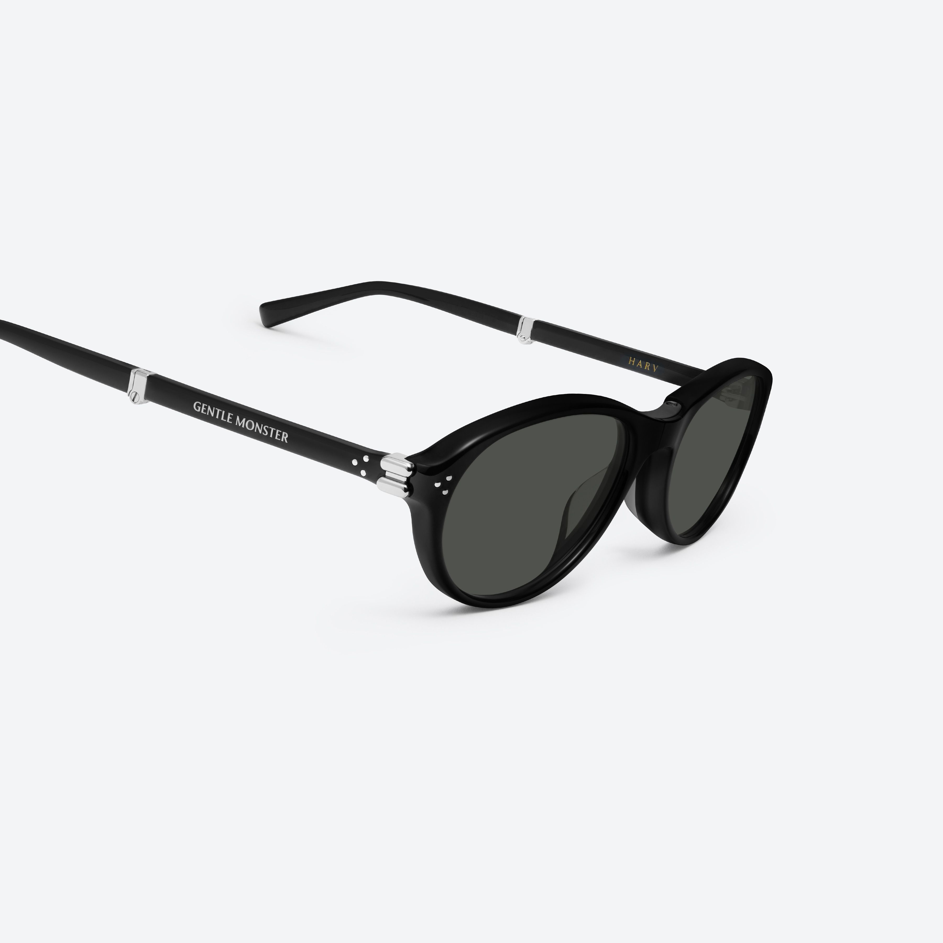 45-degree detailed view of Gentle Monster Harv 01 Black Acetate framed Aviator sunglasses.