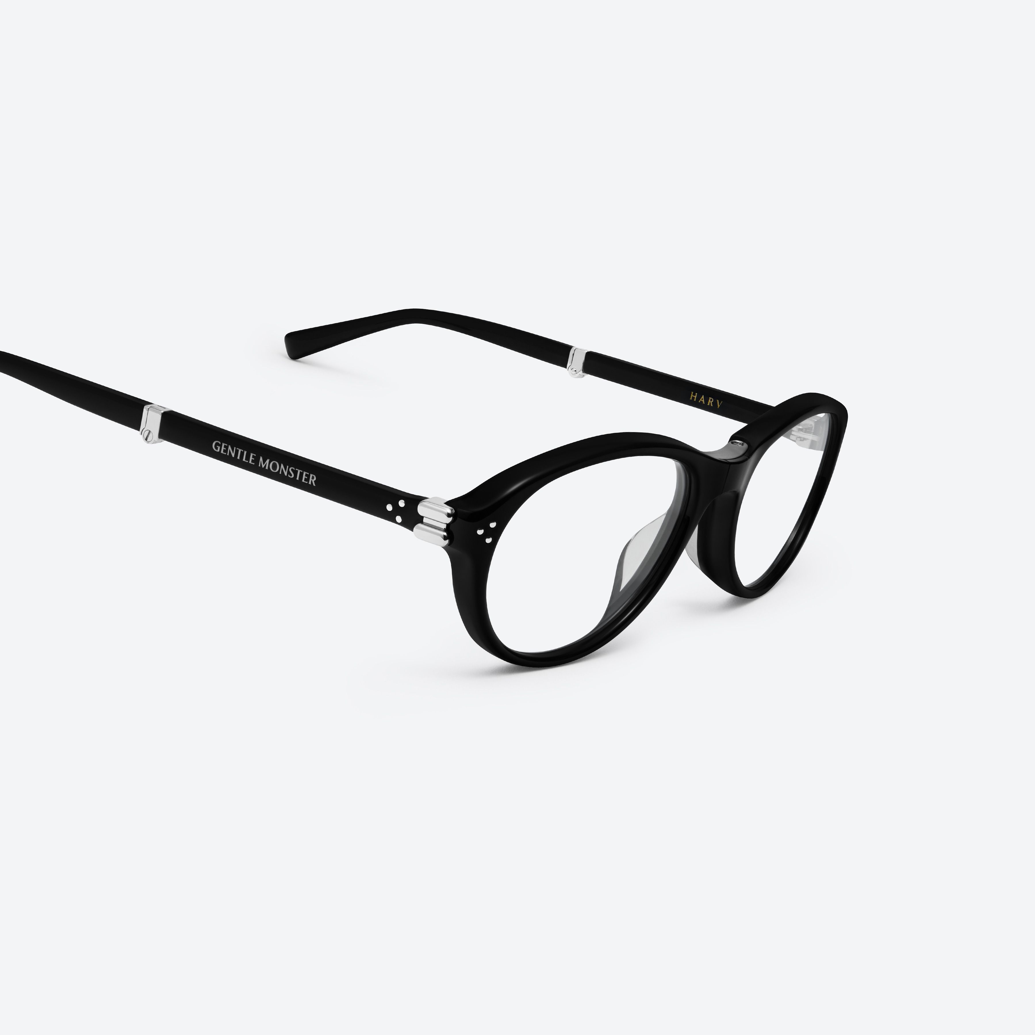 45-degree detailed view of Gentle Monster Harv 01(C) Black Acetate framed Aviator glasses.