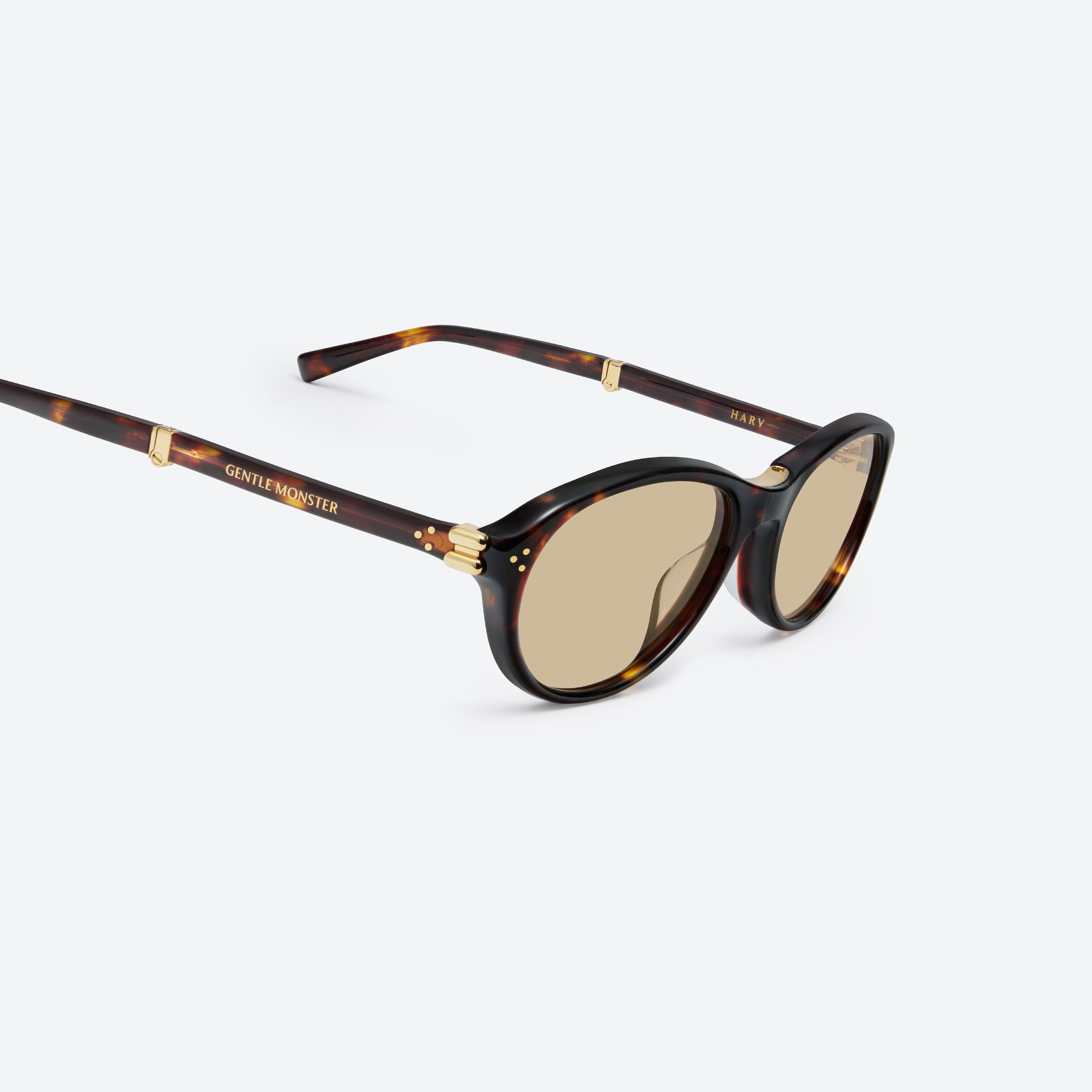 45-degree detailed view of Gentle Monster Harv T1 Tortoise Acetate framed Aviator sunglasses.