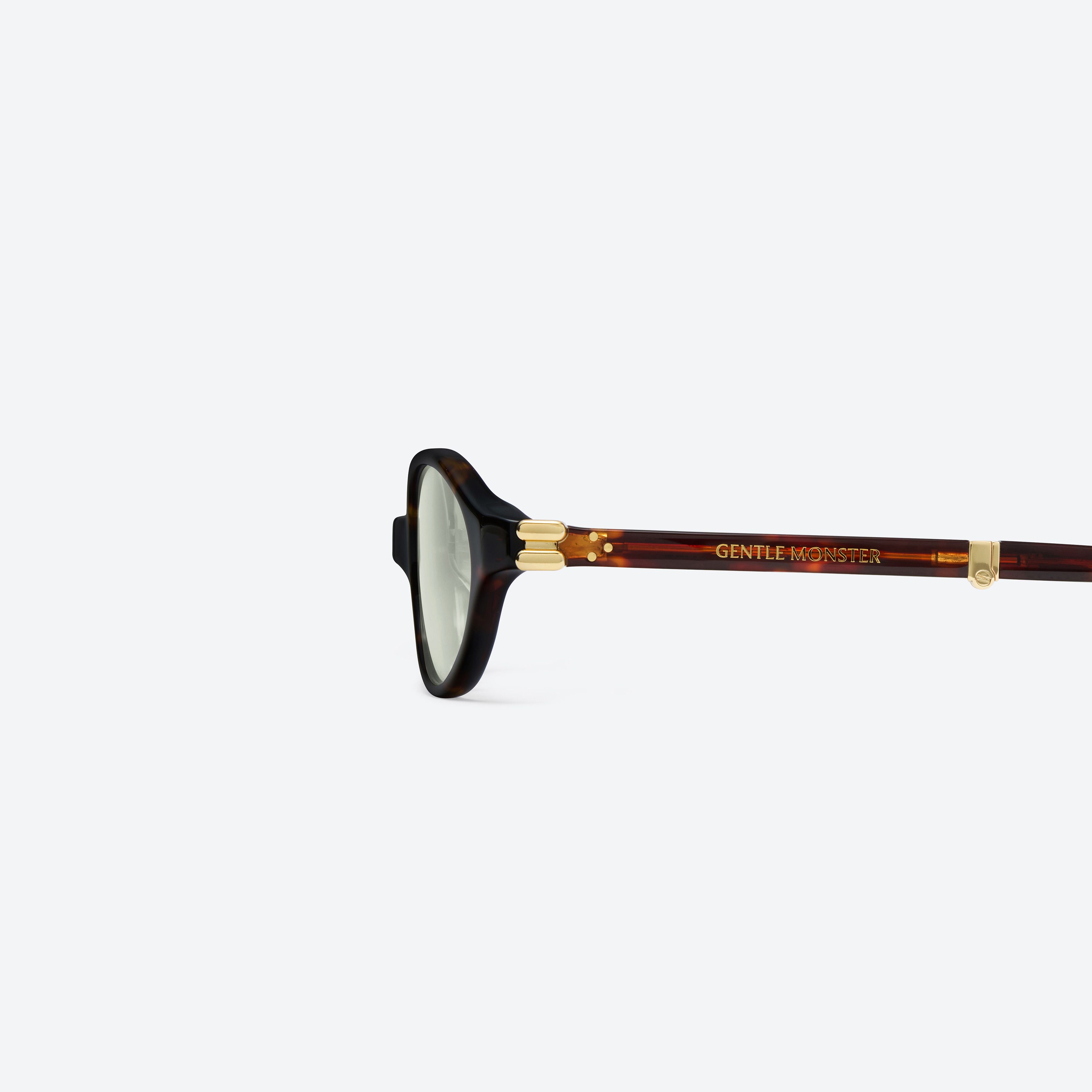 A detailed left view of Gentle Monster Ivy T1 Tortoise Acetate framed Oval sunglasses.