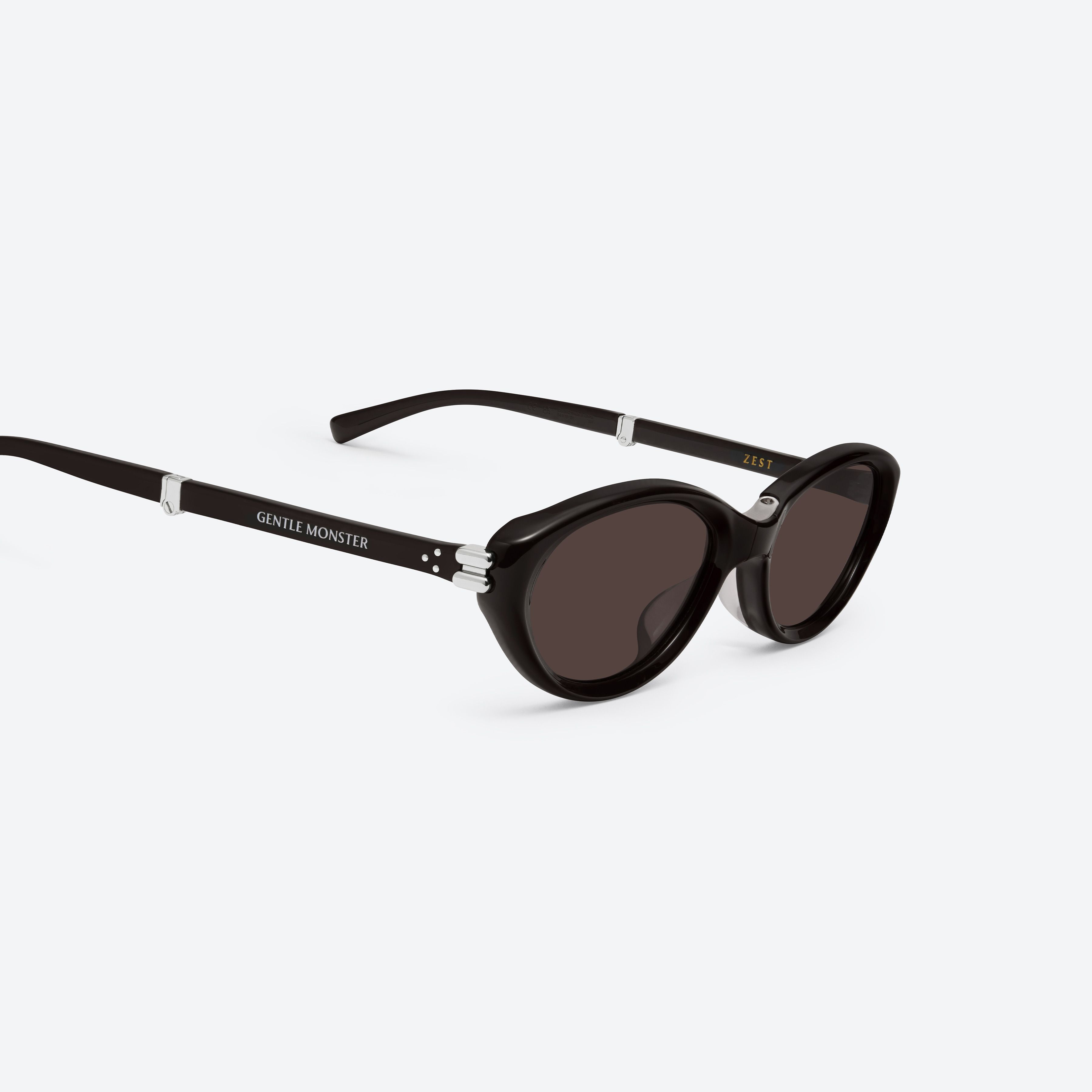 45-degree detailed view of Gentle Monster Zest BR2 Brown Acetate framed Oval sunglasses.