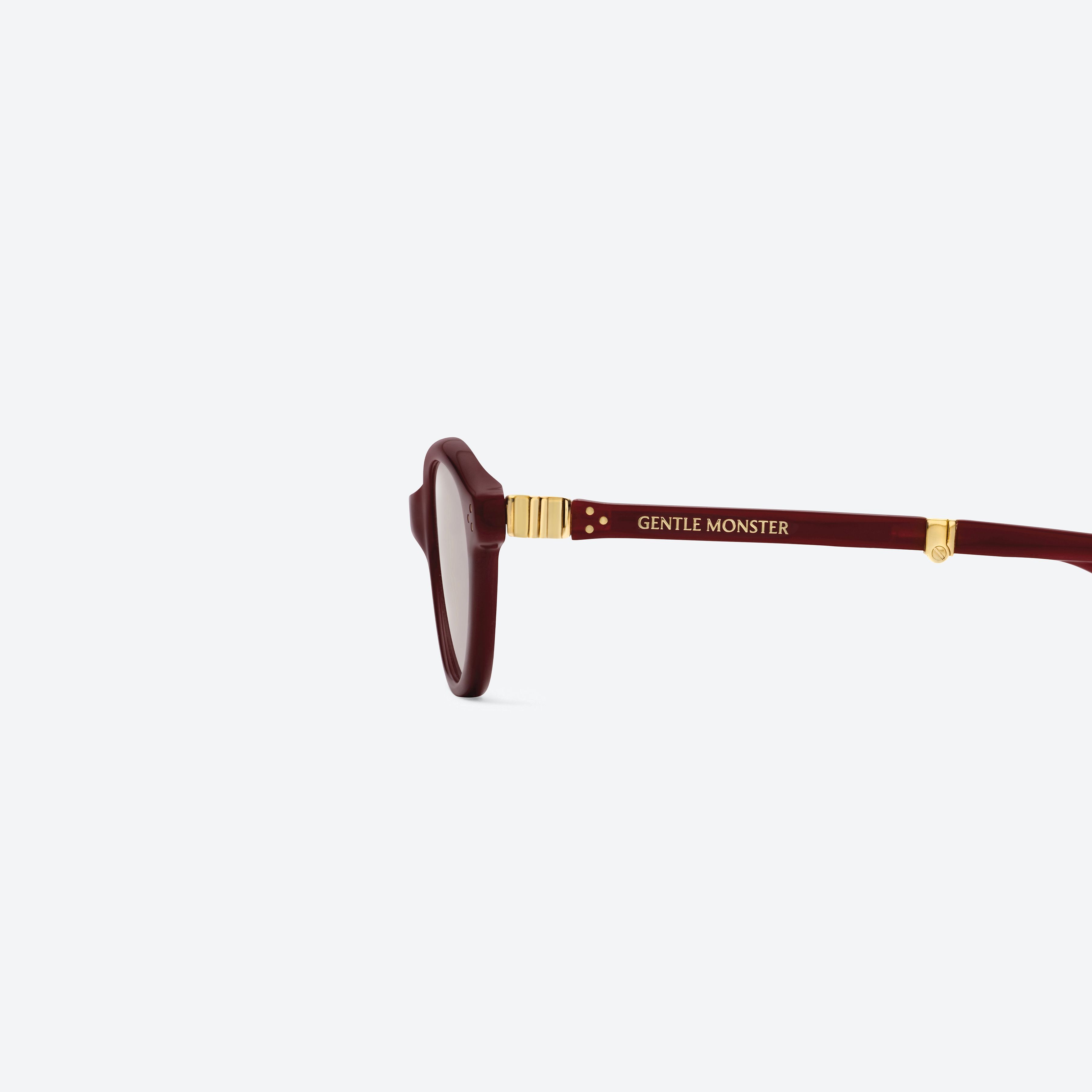A detailed left view of Gentle Monster Takion R8 Red Acetate framed Round glasses.